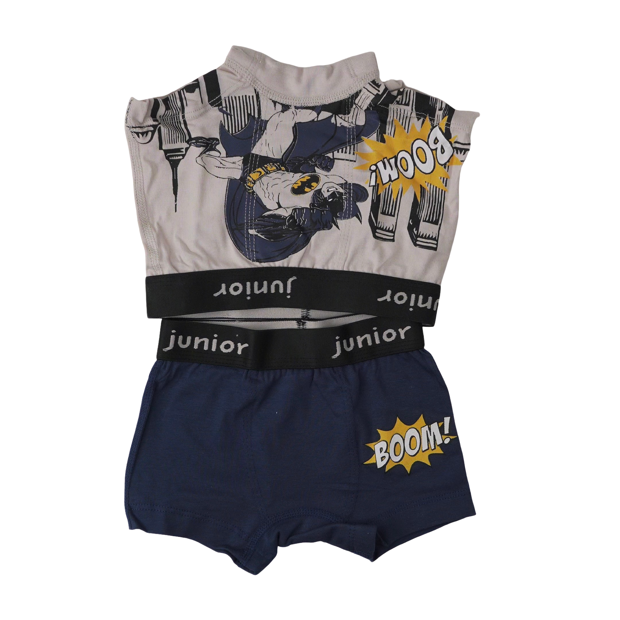 664 Boys - cartoon Boxer 2 Pieces Per Pack