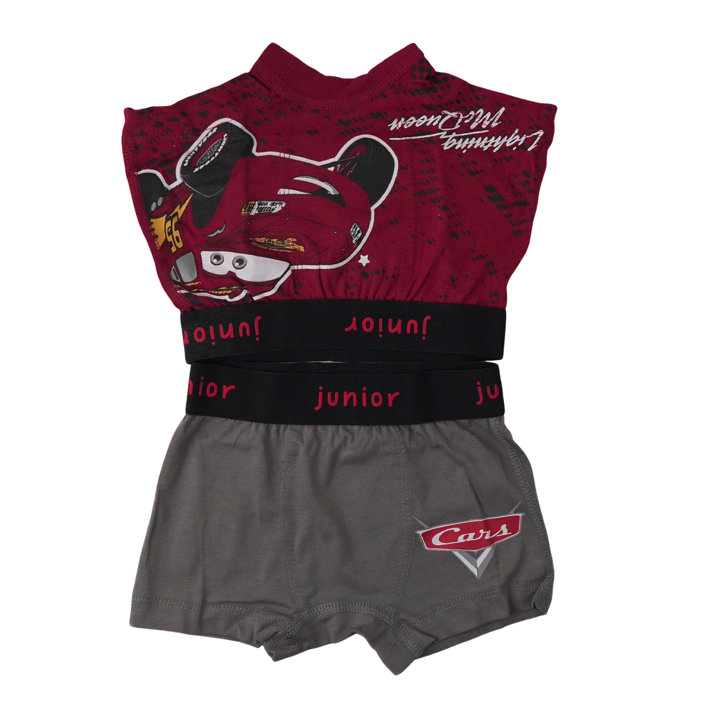 664 Boys - cartoon Boxer 2 Pieces Per Pack