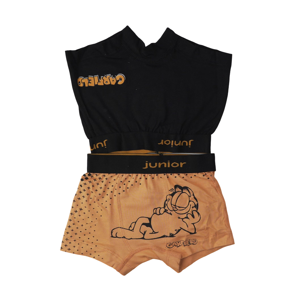 664 Boys - cartoon Boxer 2 Pieces Per Pack
