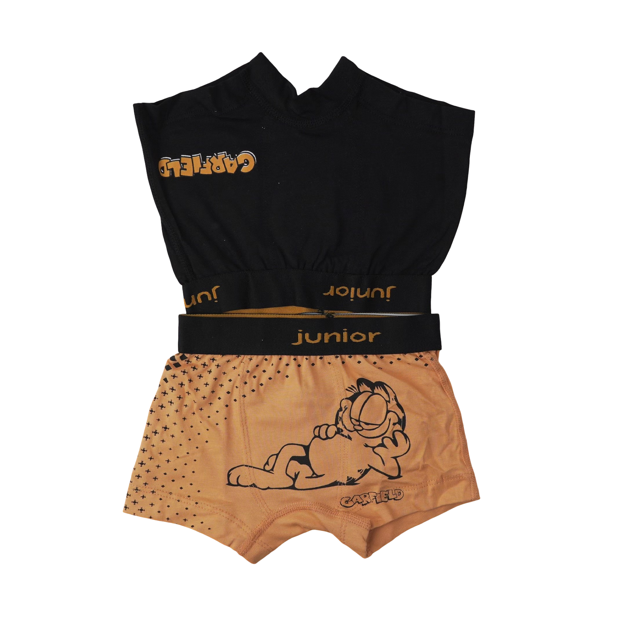 664 Boys - cartoon Boxer 2 Pieces Per Pack